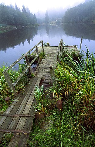 whidbey island